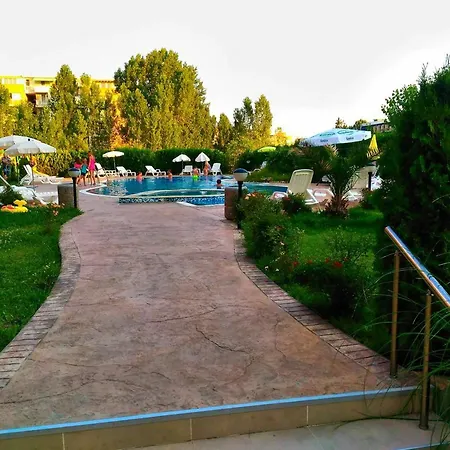 Vip Zone *